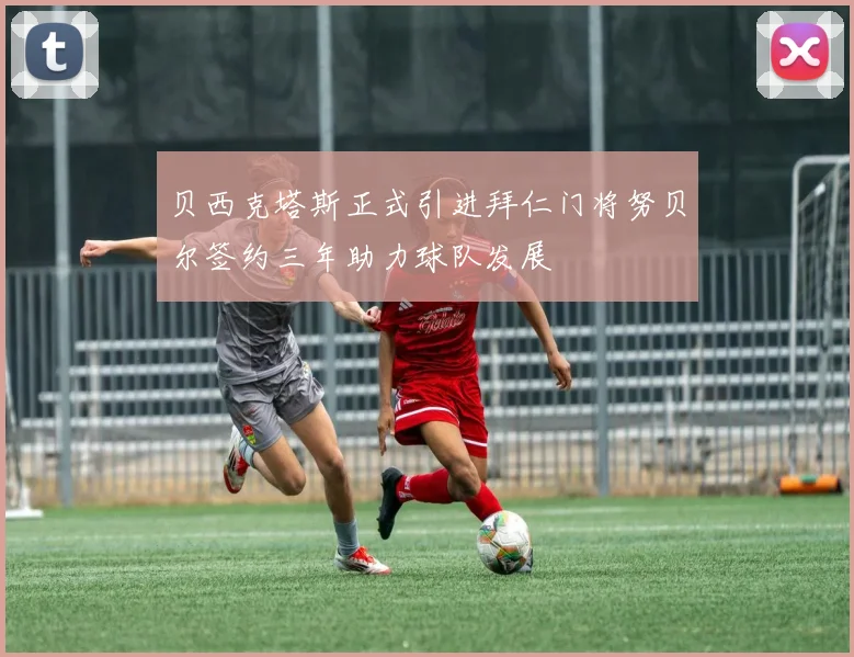 贝西克塔斯正式引进拜仁门将努贝尔签约三年助力球队发展