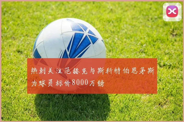 热刺关注范赫克与斯科特伯恩茅斯为球员标价8000万镑